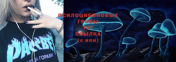эйфоретик Горно-Алтайск