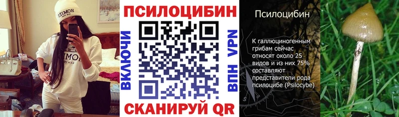 Псилоцибиновые грибы Psilocybe  закладка  Заполярный 